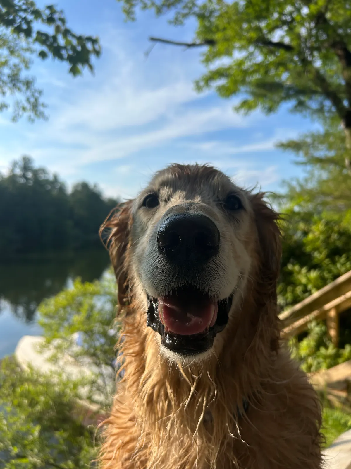 Murph