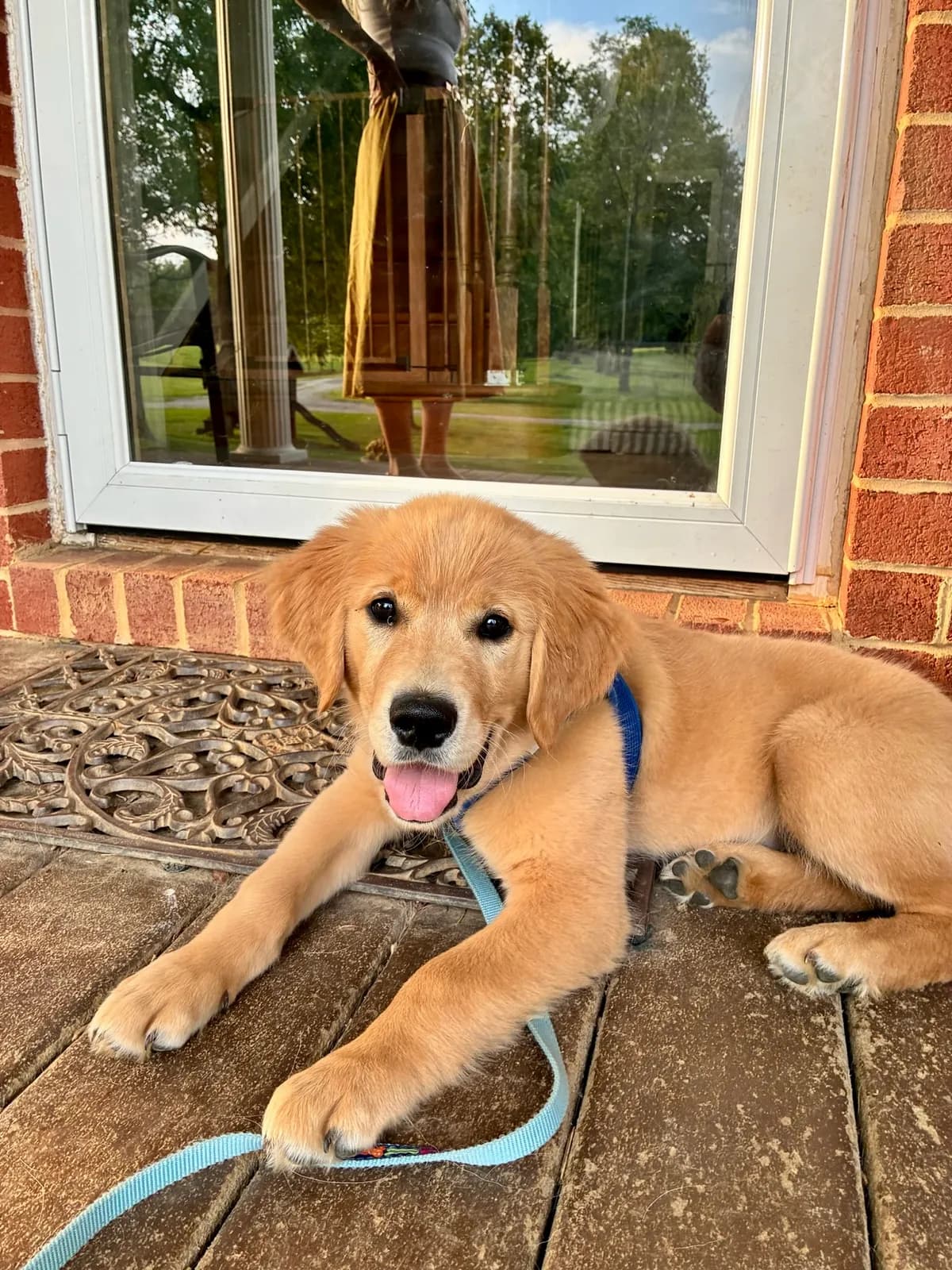Leo
