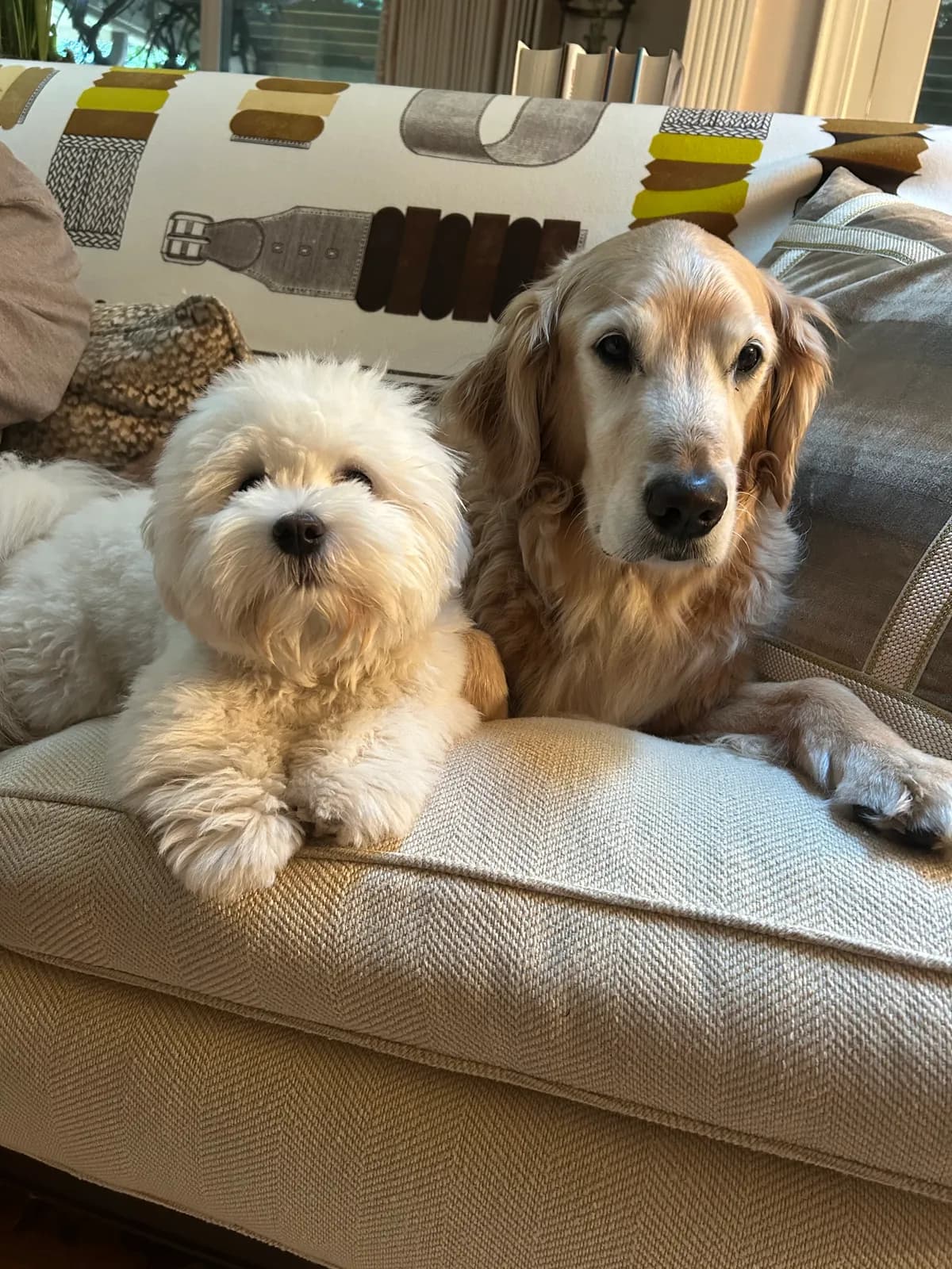 Murph photo 6