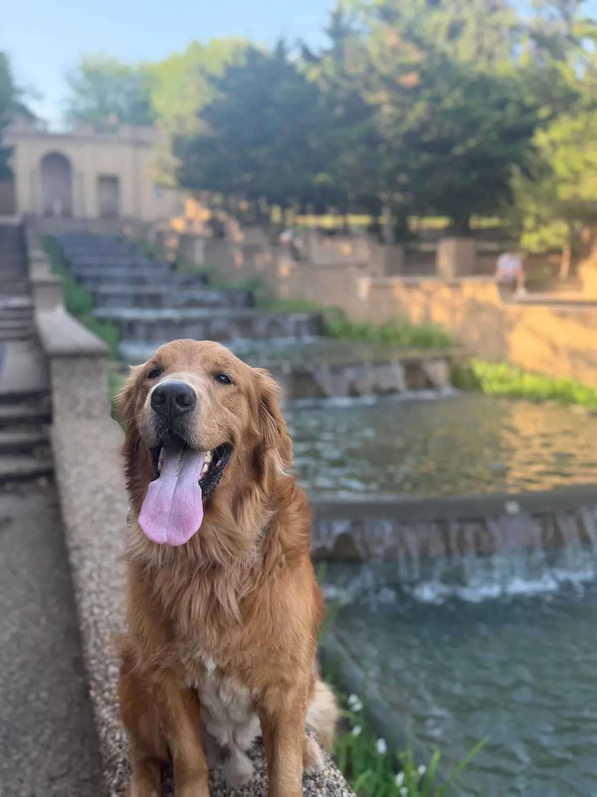 Bentley photo 4
