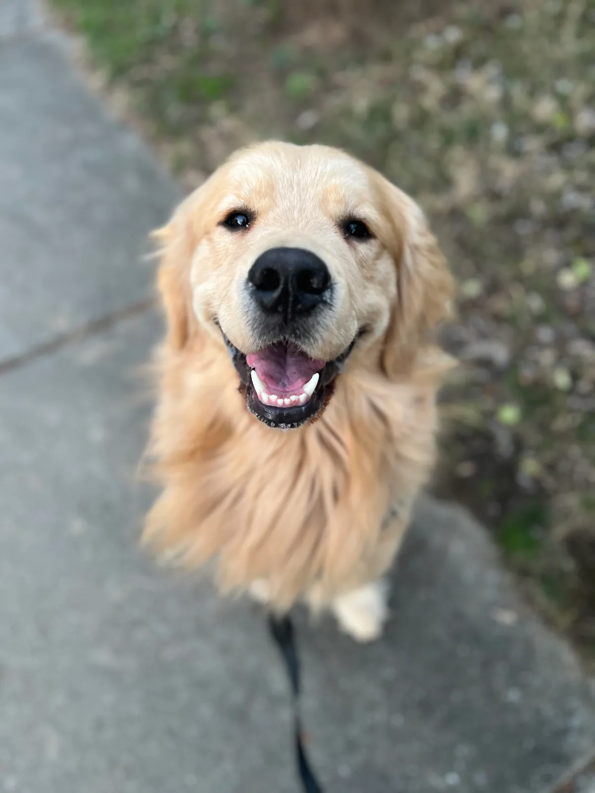 Buddy photo 5