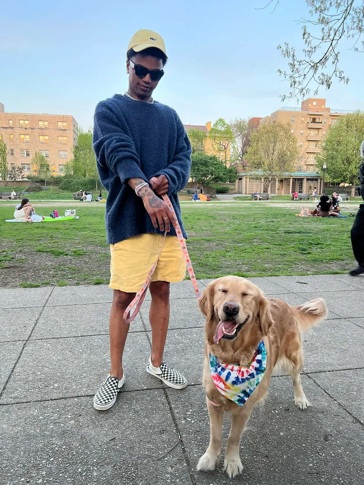 Photo 4 of Izzy, a golden retriever in Washington, DC