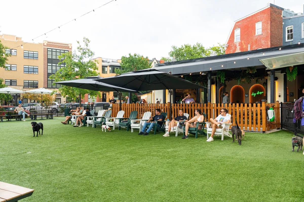 Dog Daze Social Club