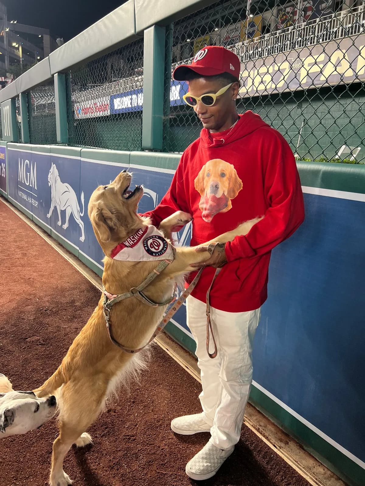 Izzy, a golden retriever in Washington, DC