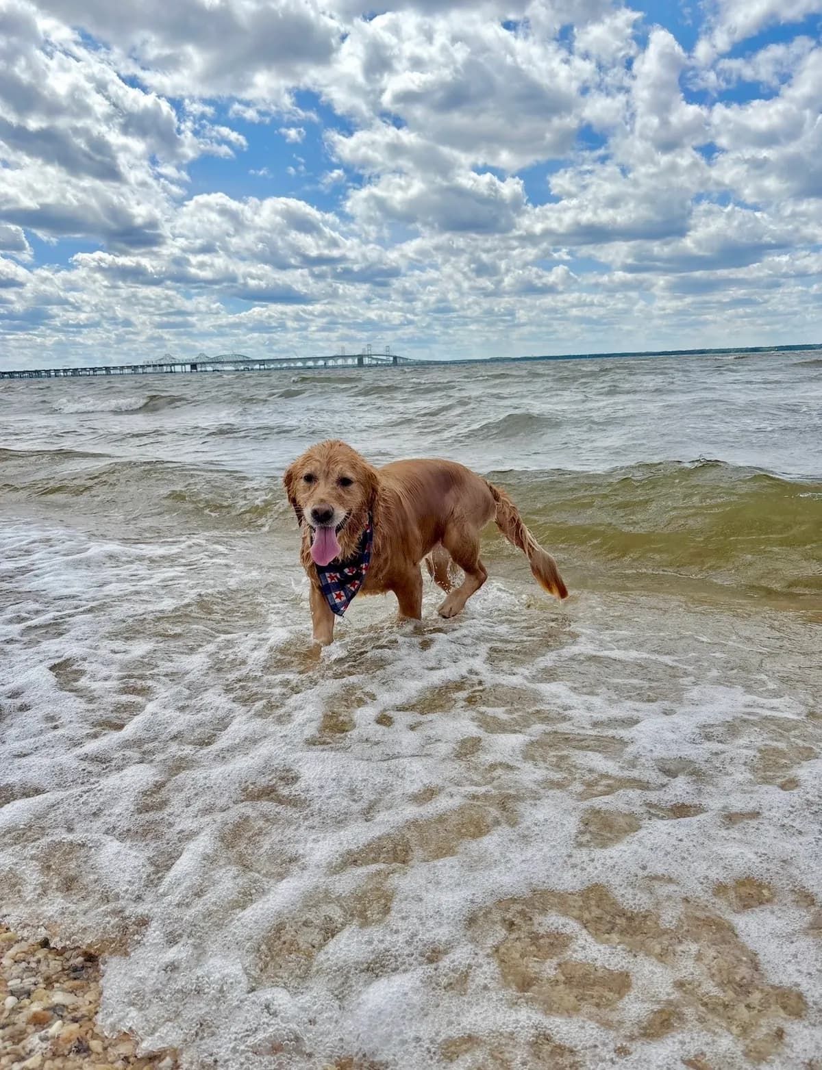 Ruby