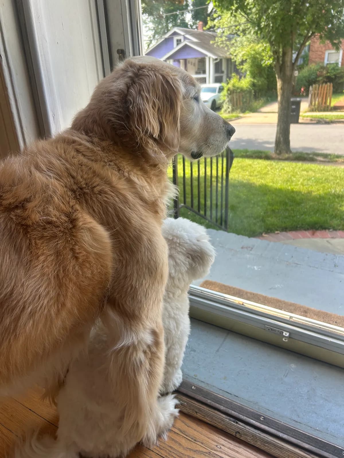 Murph photo 4
