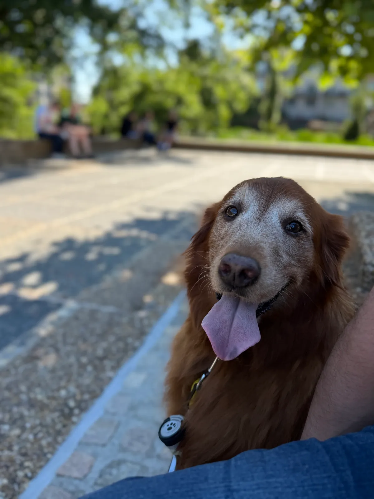 Maggie photo 2