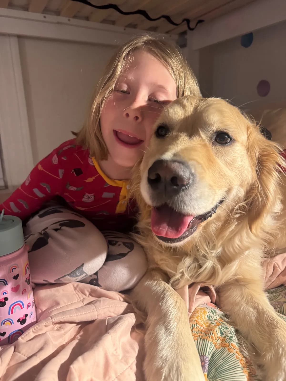 Charlie, a golden retriever in Washington, DC