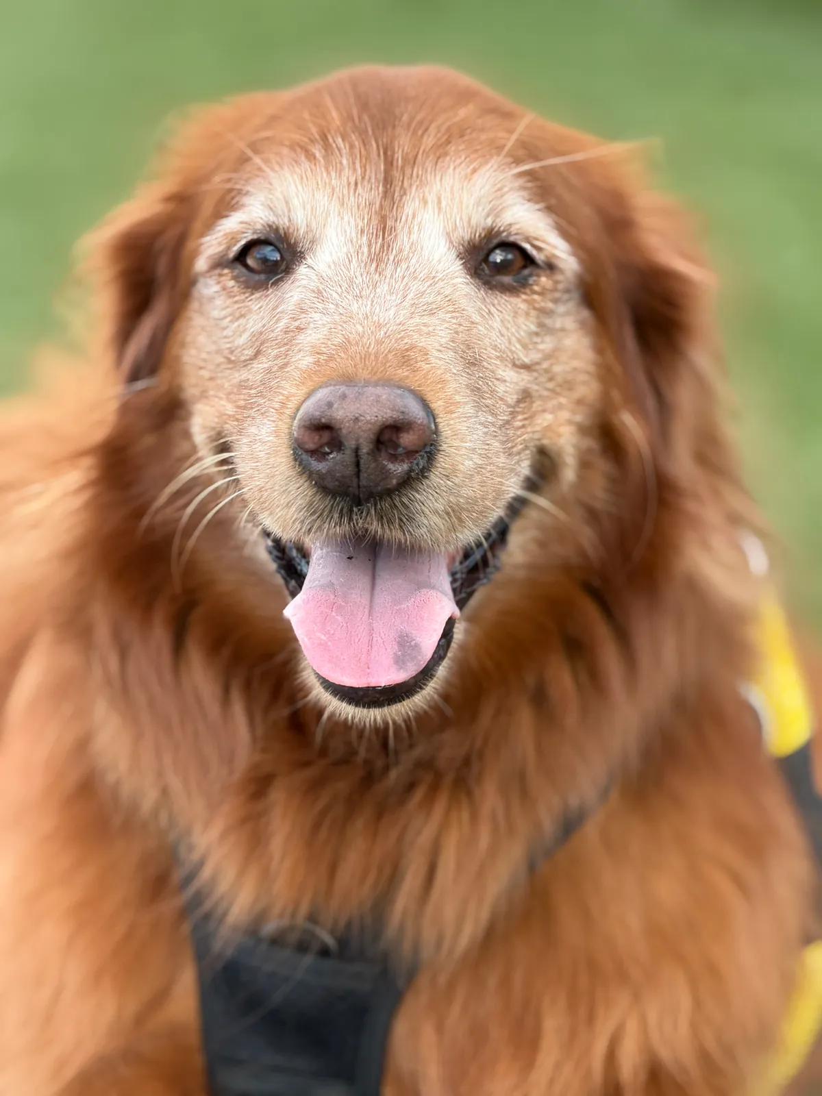 Maggie photo 5