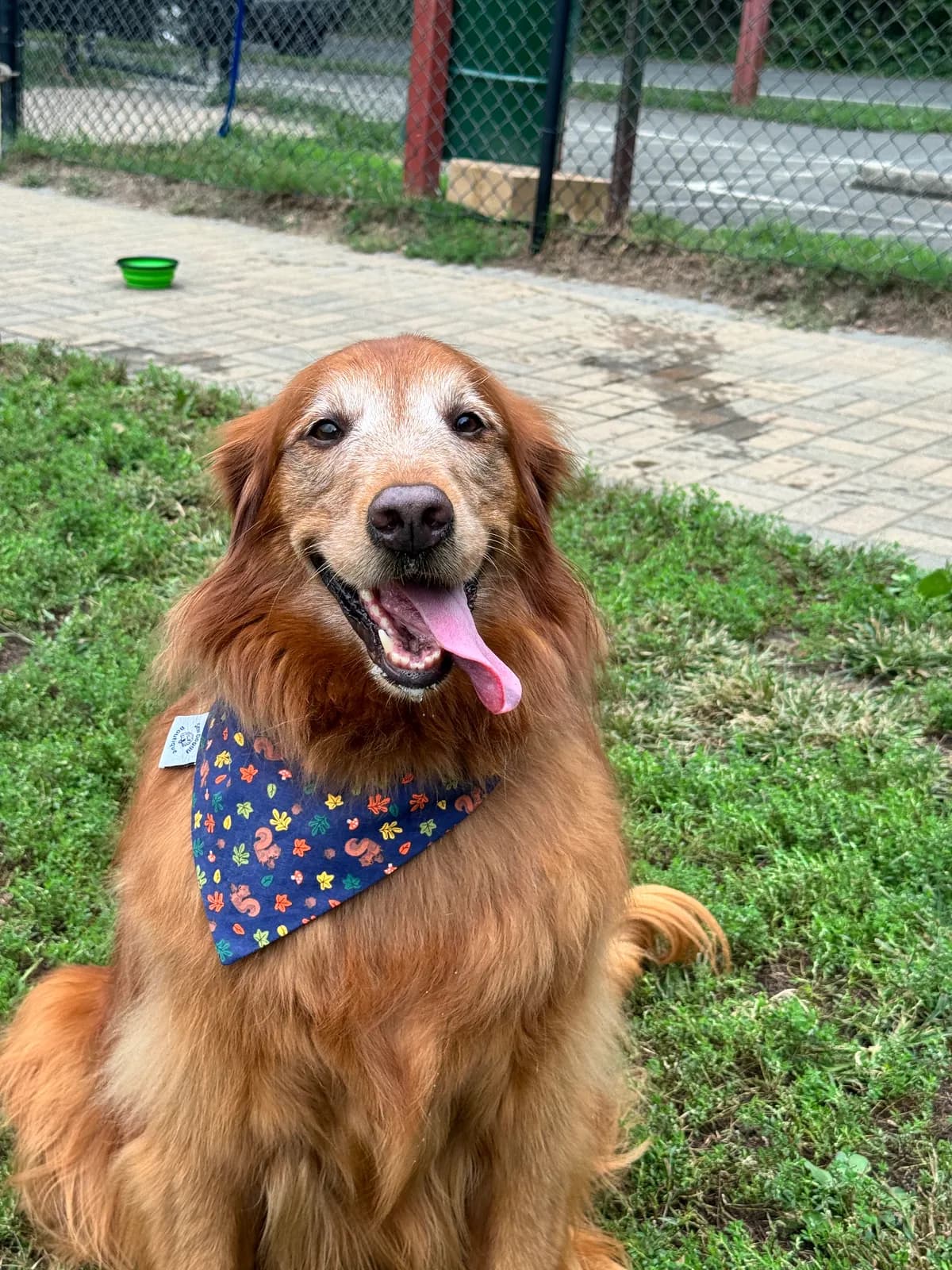 Maggie photo 9