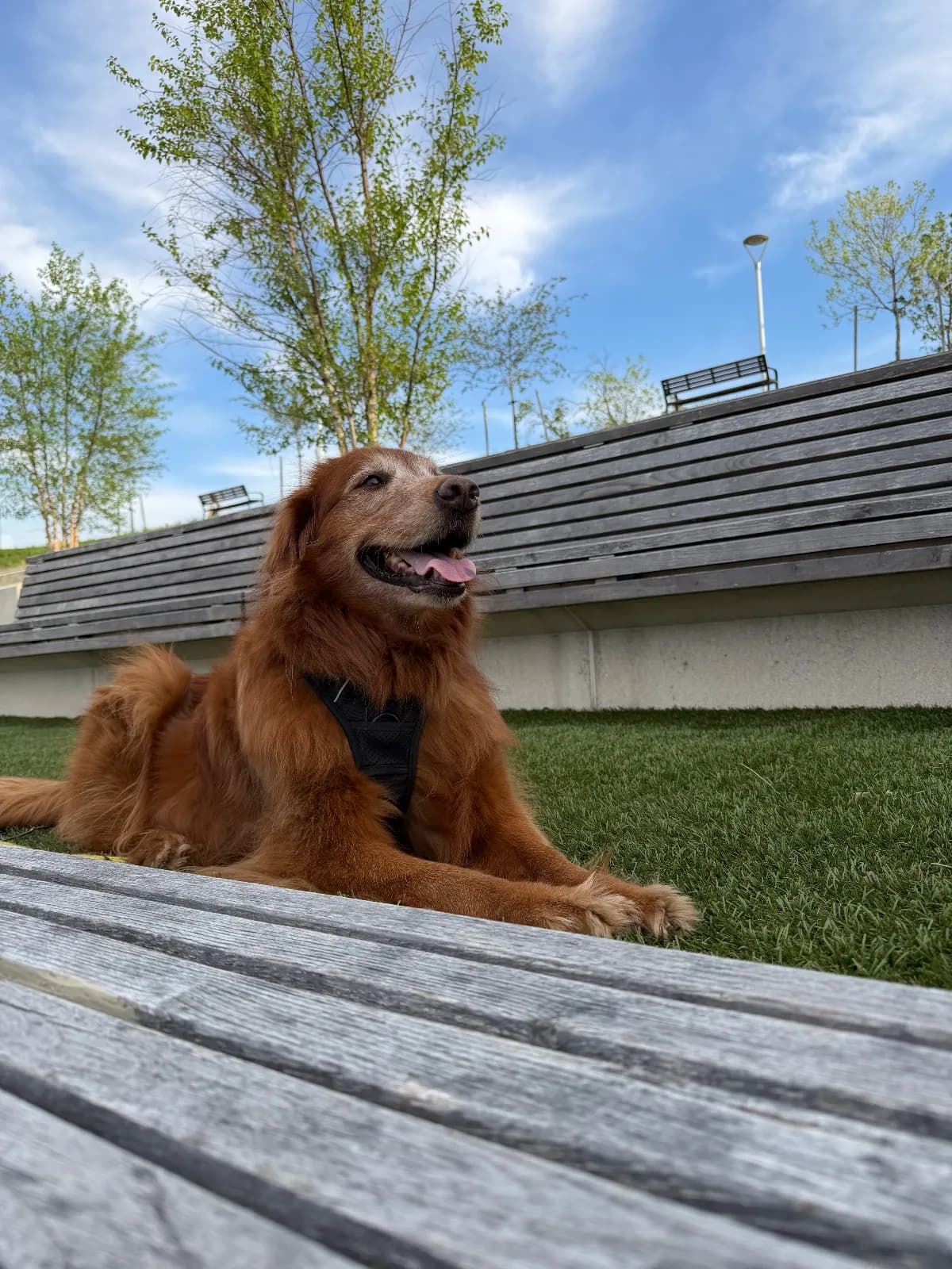 Maggie photo 6
