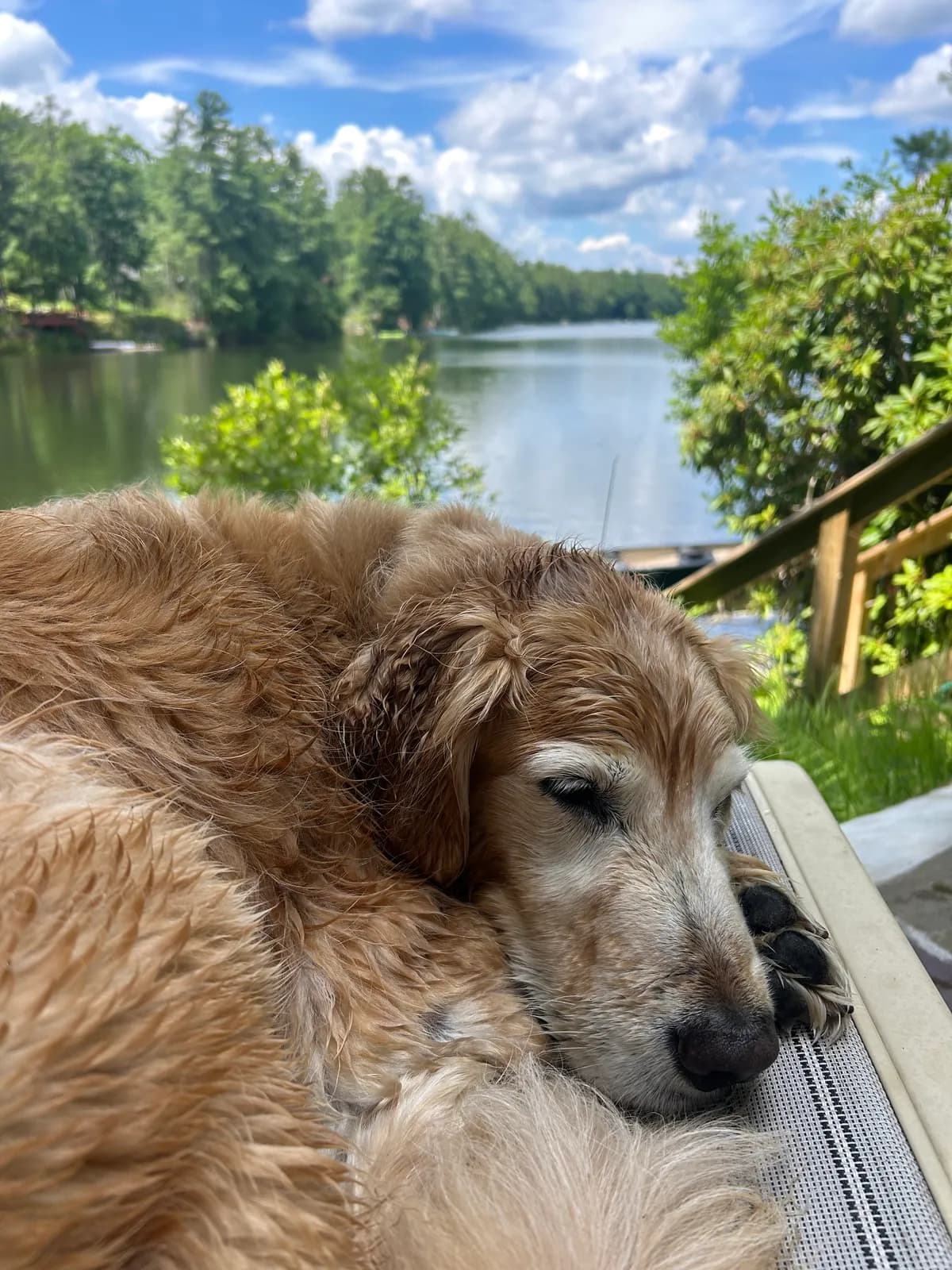 Murph photo 3