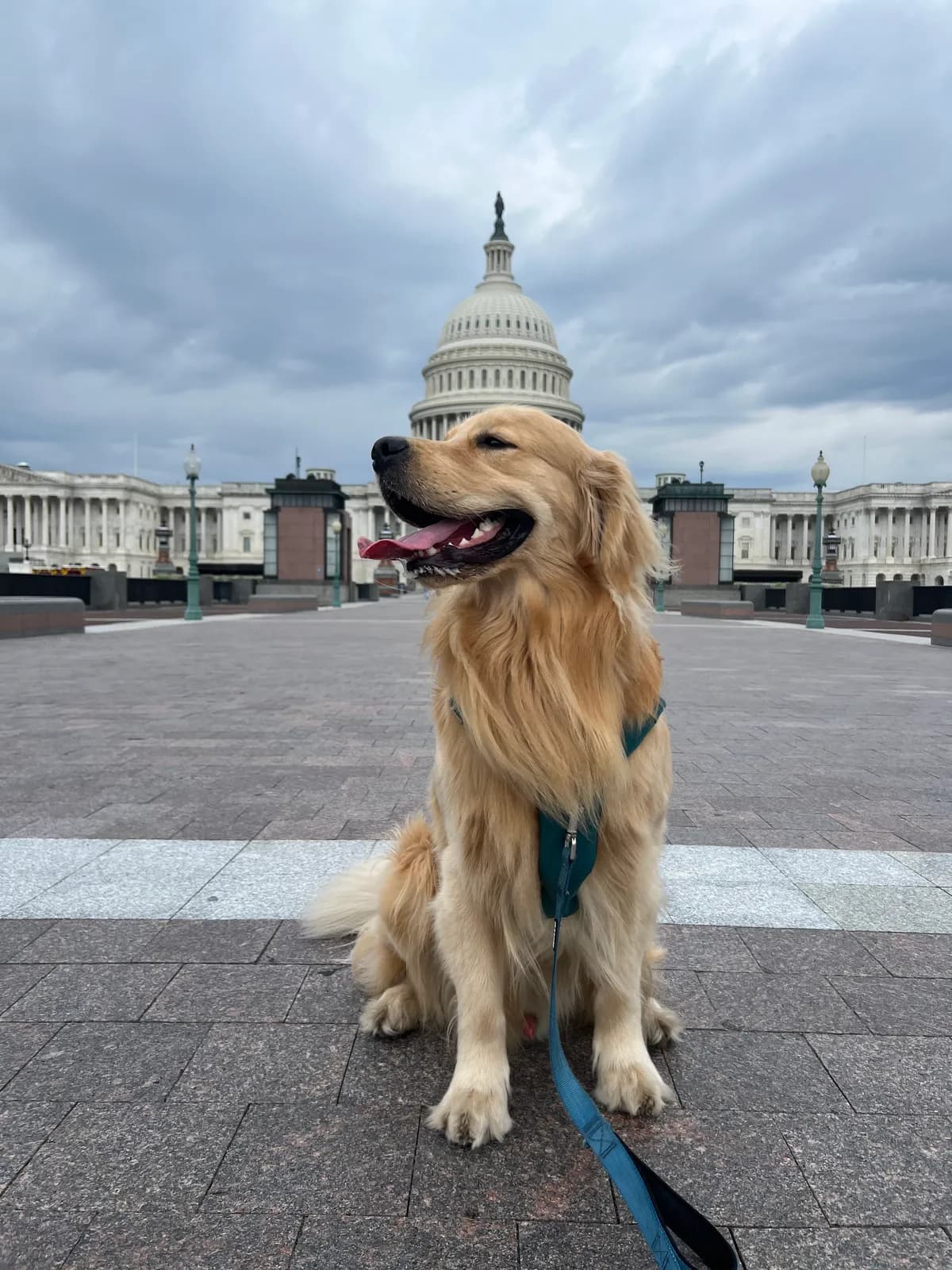 Buddy photo 7