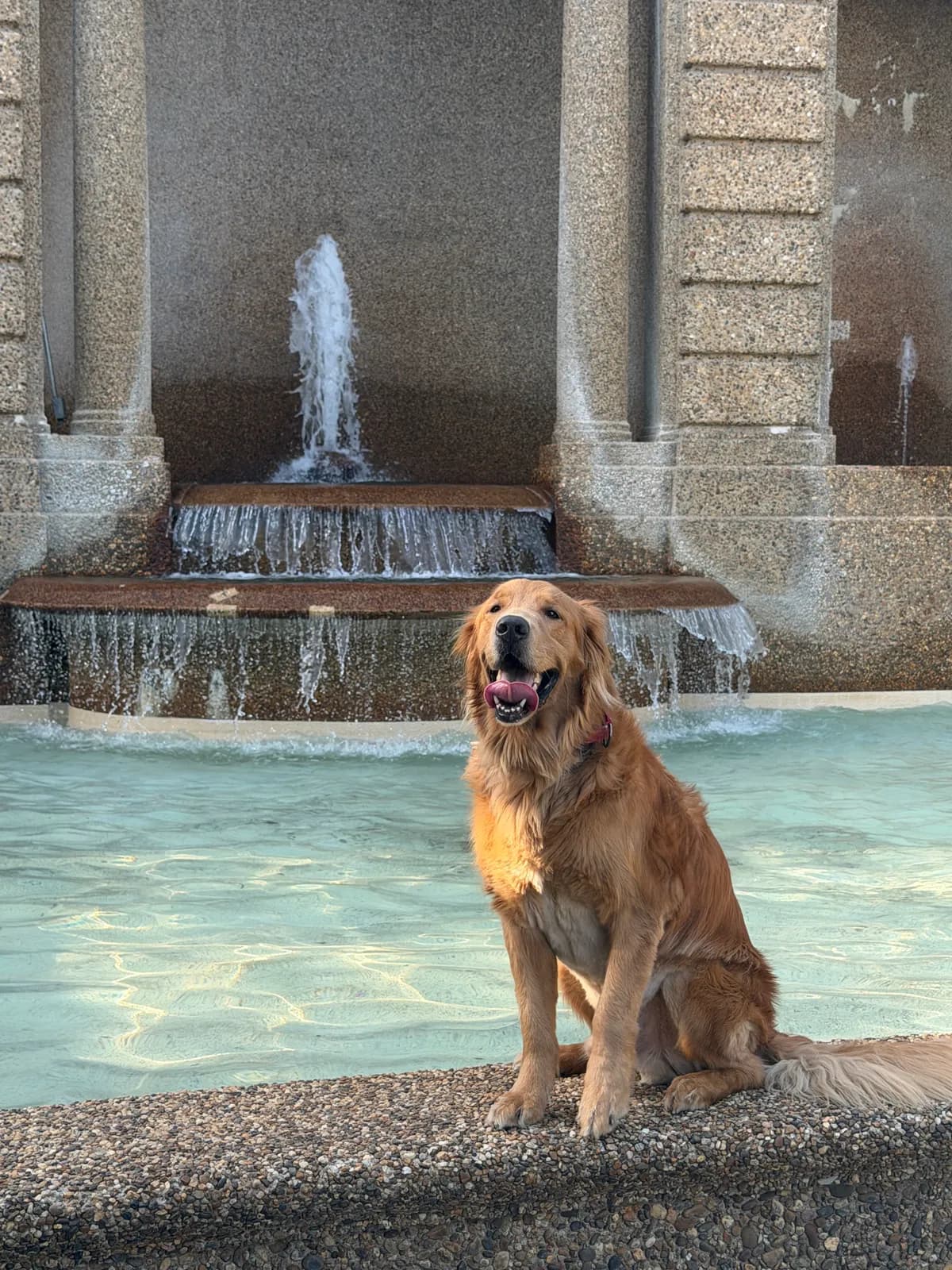 Bentley photo 3