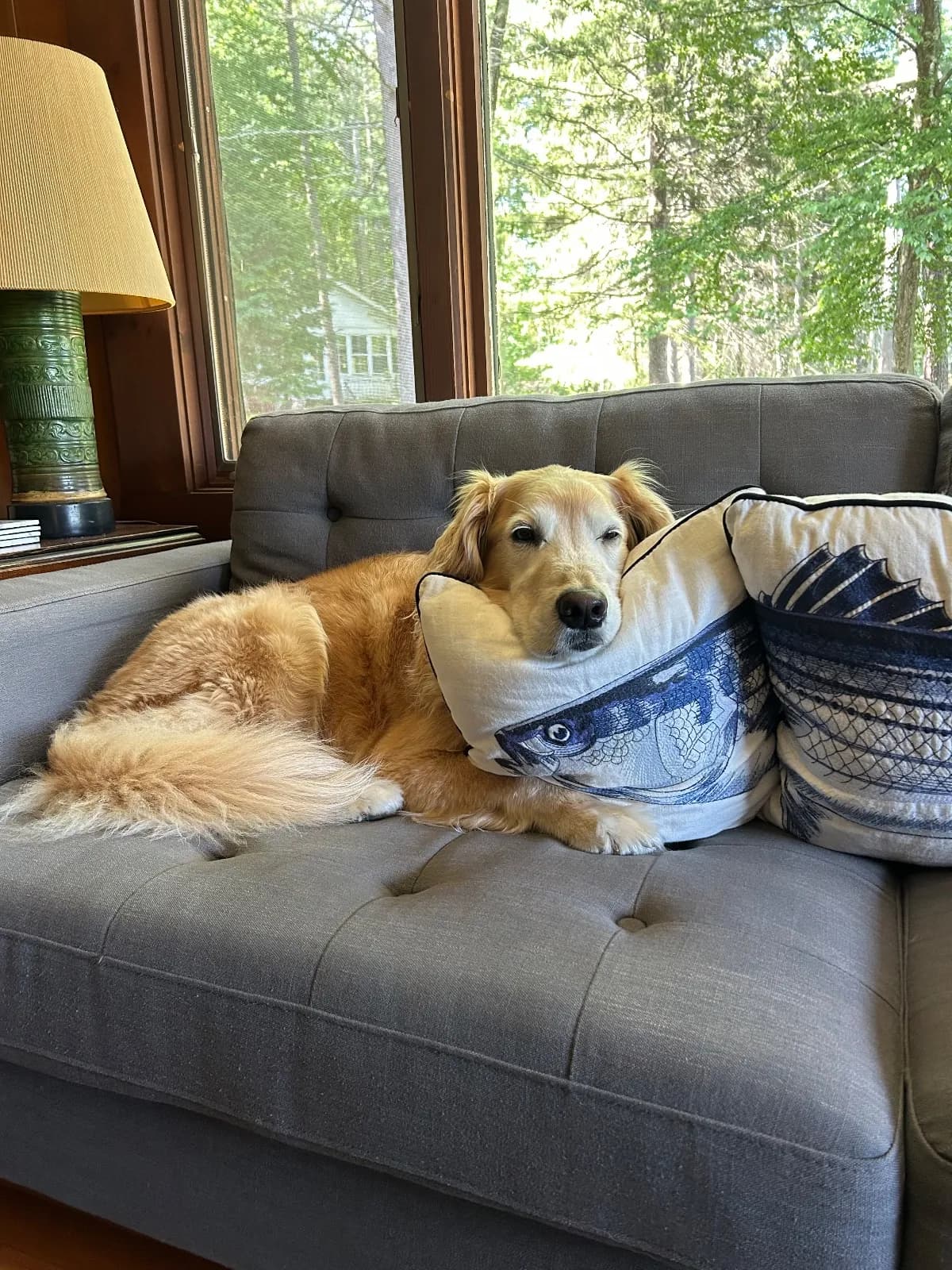 Murph photo 2