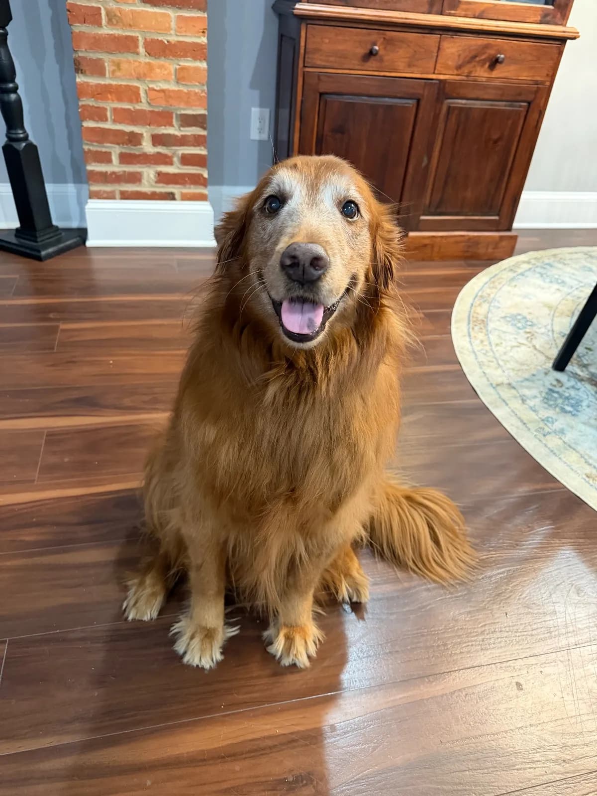 Maggie photo 3